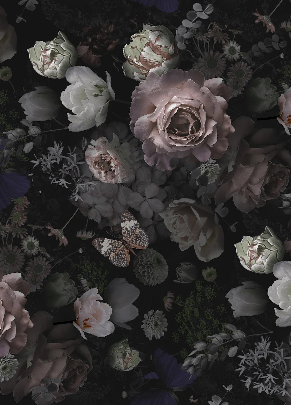 Dark Floral Butterfly Peel and Stick Wallpaper