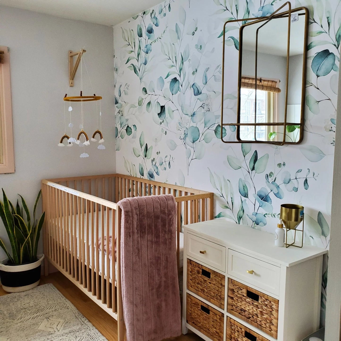 Eucalyptus Dream Peel and Stick Wallpaper