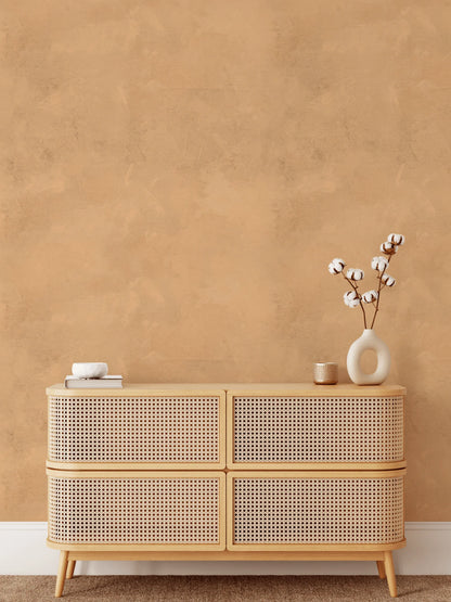 Arizona Limewash Wallpaper (Desert Style)