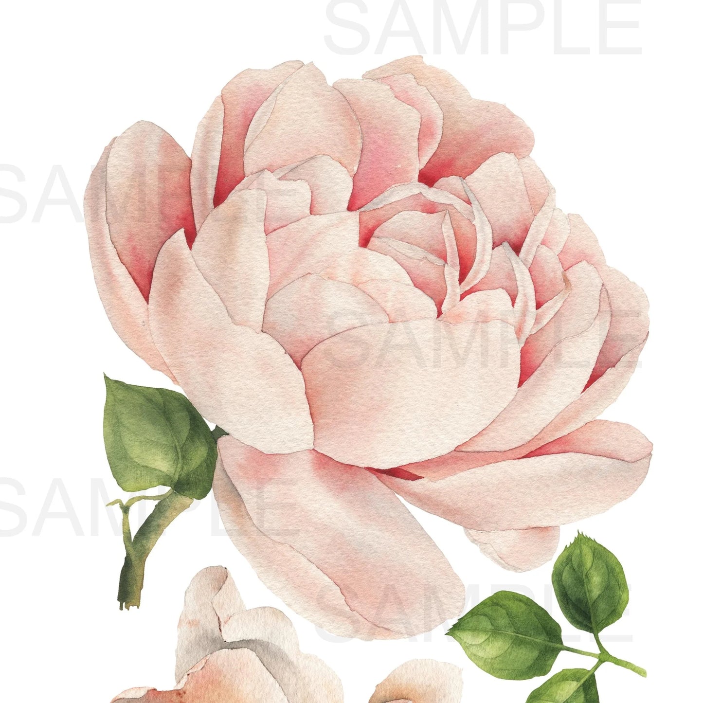 Autumn Rose Floral Wall Decals