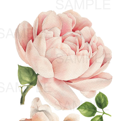 Autumn Rose Floral Wall Decals