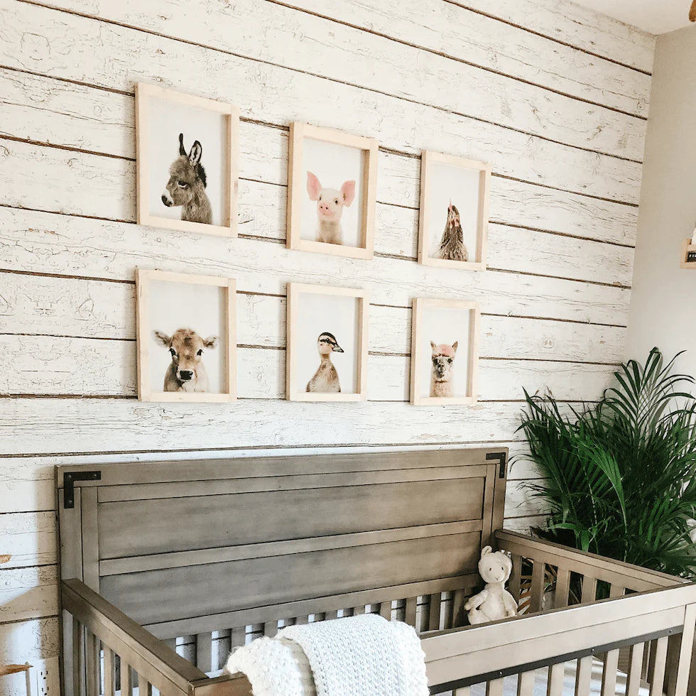 Barn Wood Peel and Stick Wallpaper