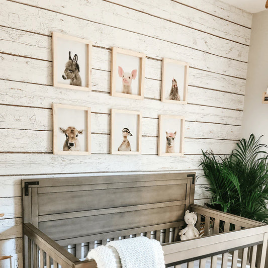 Barn Wood Peel and Stick Wallpaper