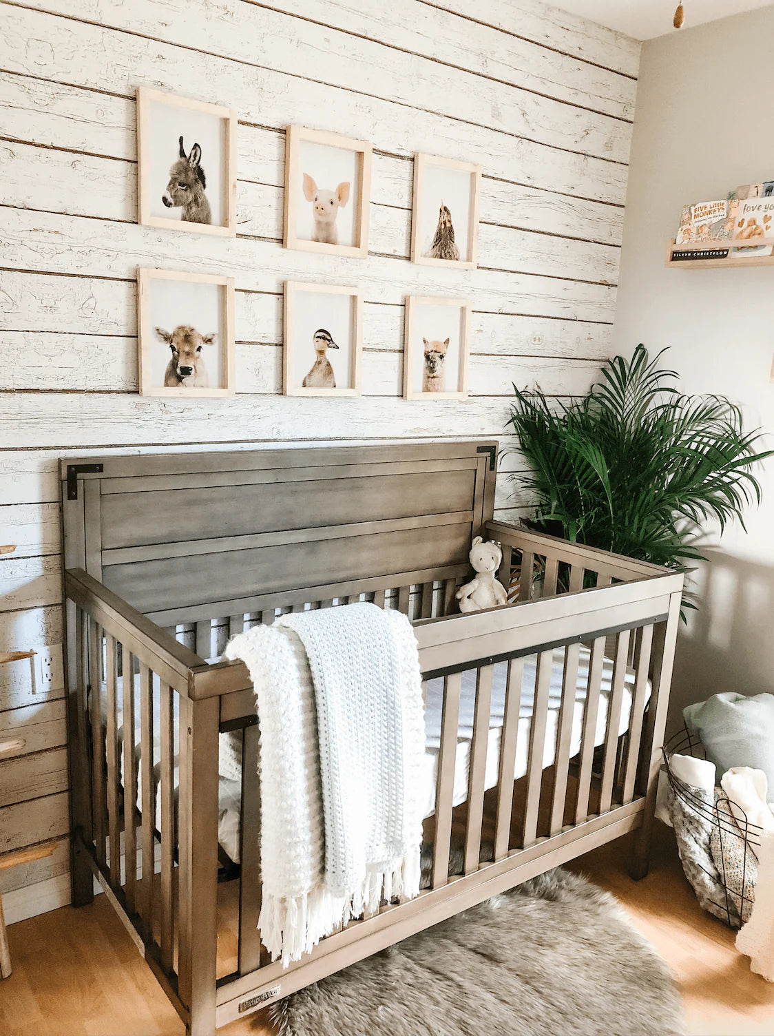 Barn Wood Peel and Stick Wallpaper