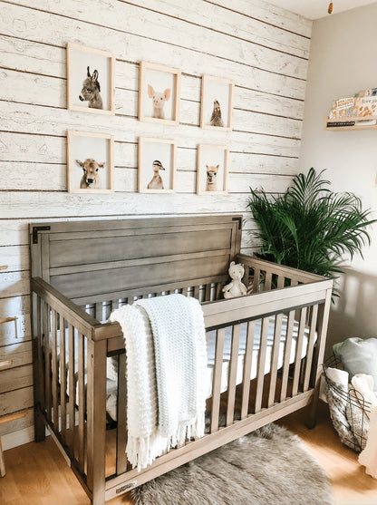 Barn Wood Peel and Stick Wallpaper
