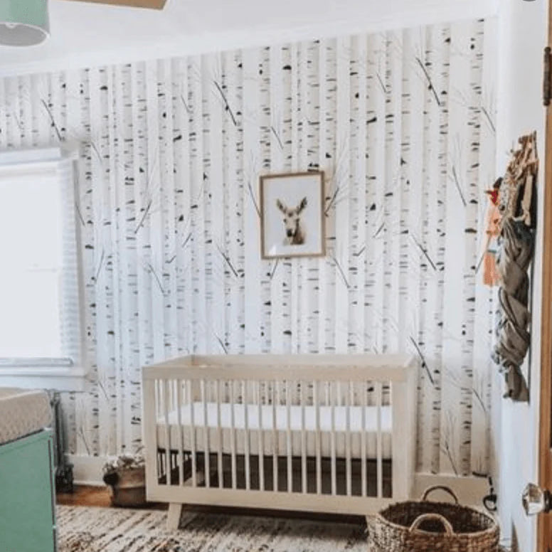 Birch Tree Peel and Stick Wallpaper