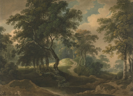 Deep Woodland Landscape Wall Mural (Peel and Stick)
