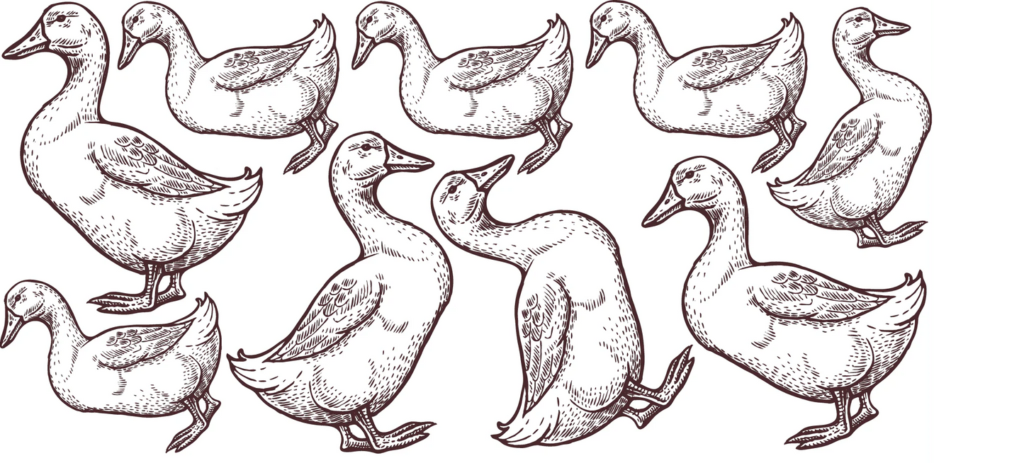 Geese Decals