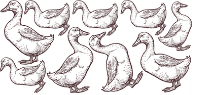 Geese Decals