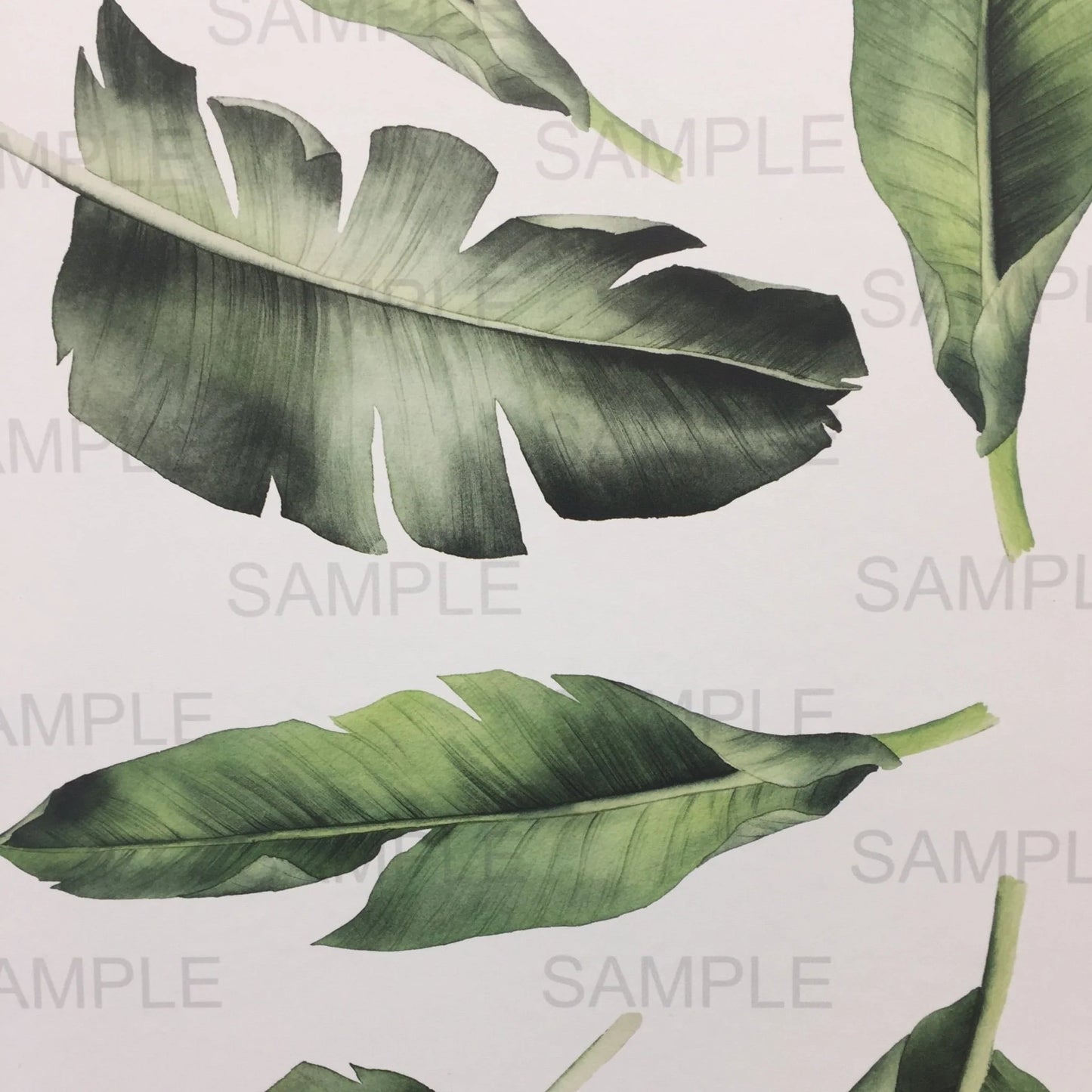 Giant Tropical Leaves Wall Stickers