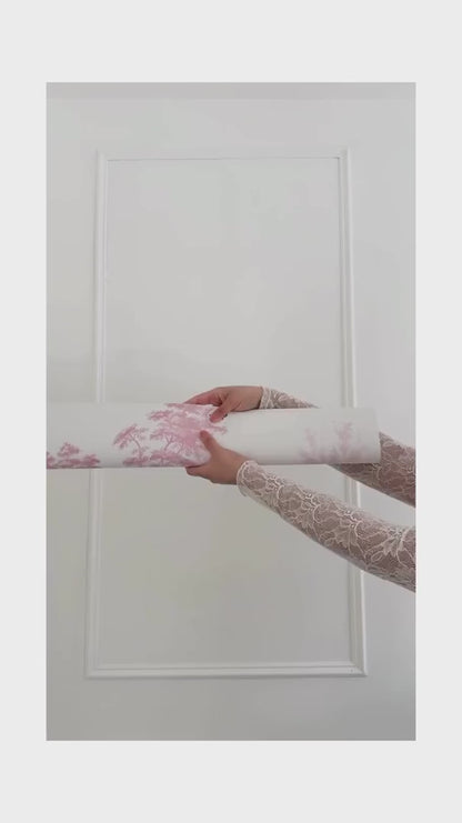 Ballerina Toile Wallpaper